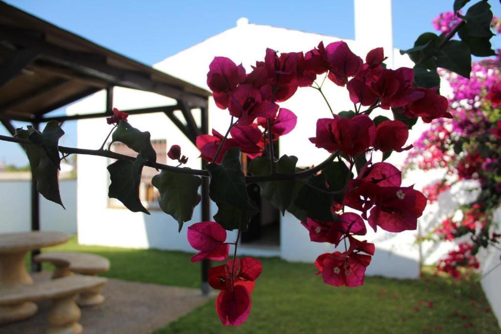 Hacienda Los Majadales Conil De La Frontera Luaran gambar