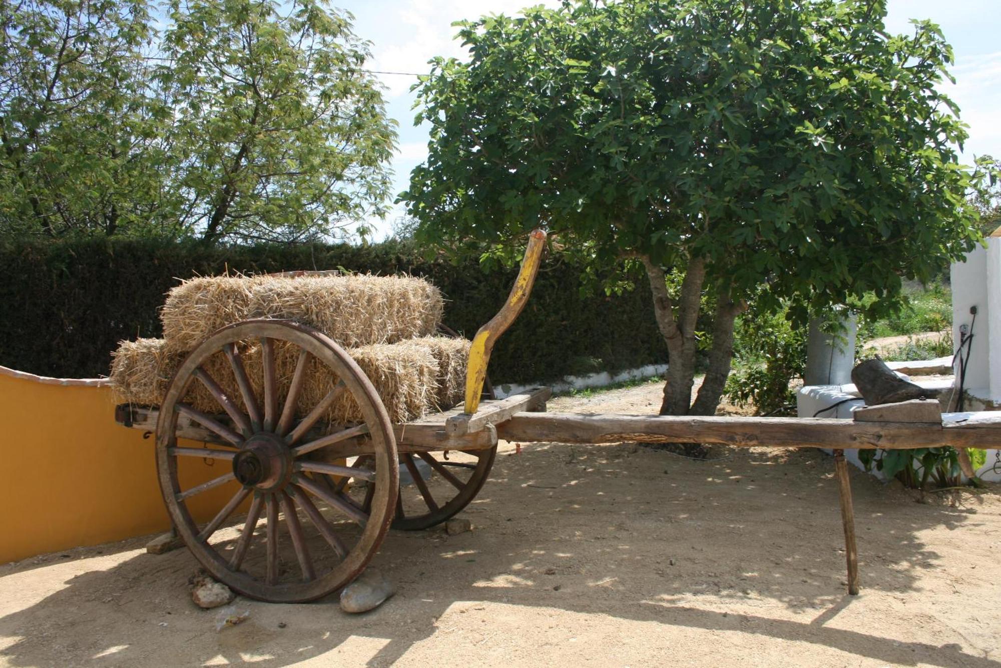 Hacienda Los Majadales Conil De La Frontera Luaran gambar