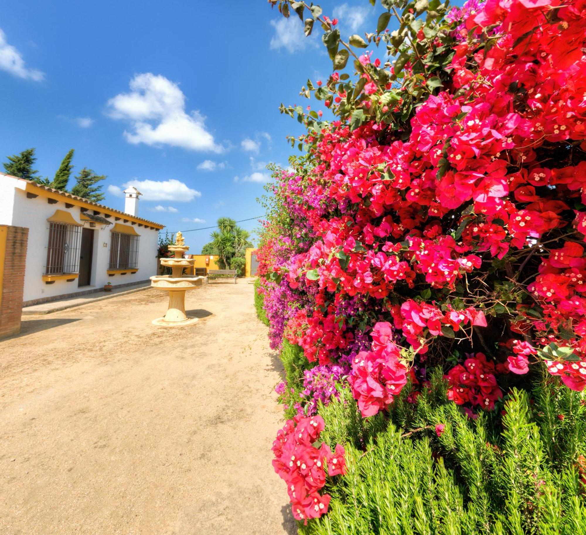 Hacienda Los Majadales Conil De La Frontera Luaran gambar